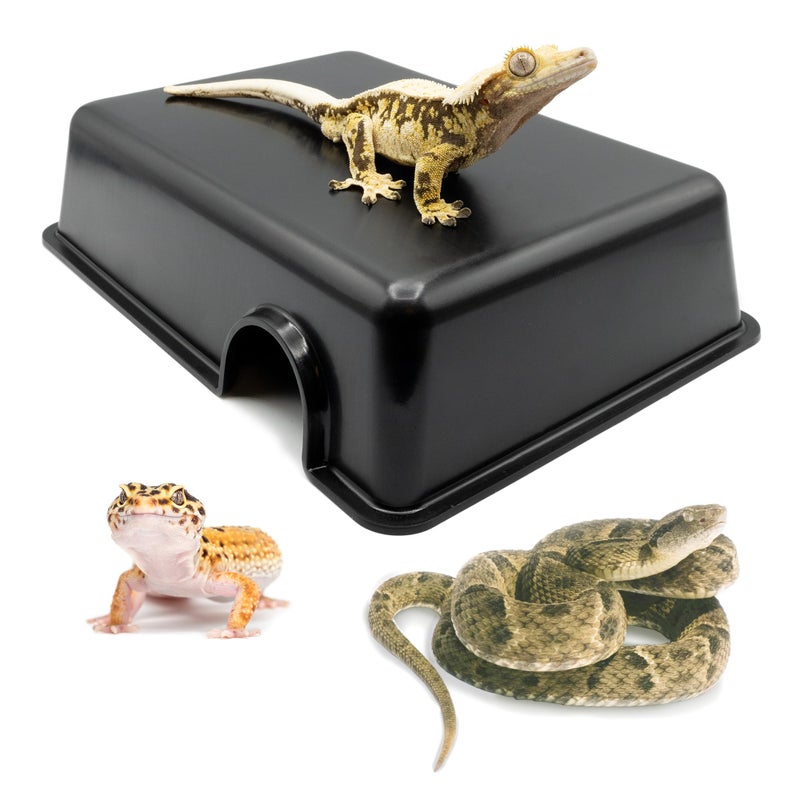 Pangea Reptile Hide Box (C- Medium), Black - Image 1